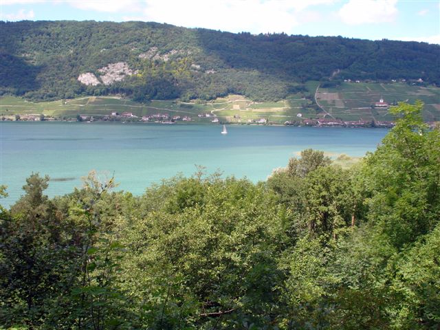 DSC02245